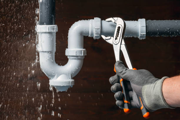 Professional Plumbing technician working in Drake, CO
